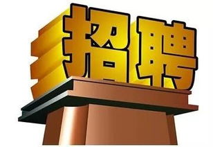長(zhǎng)春軟件開(kāi)發(fā)行業(yè)迎來(lái)新機(jī)遇，科技創(chuàng)新助力城市數(shù)字化轉(zhuǎn)型